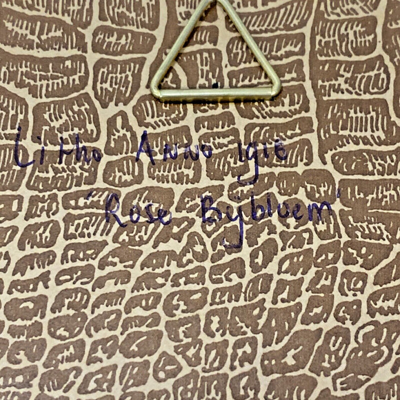 Antique 1916 Lithograph Artwork 'Rose by Bloem' Floral Print Small Wood Framed - Picture 5 of 7